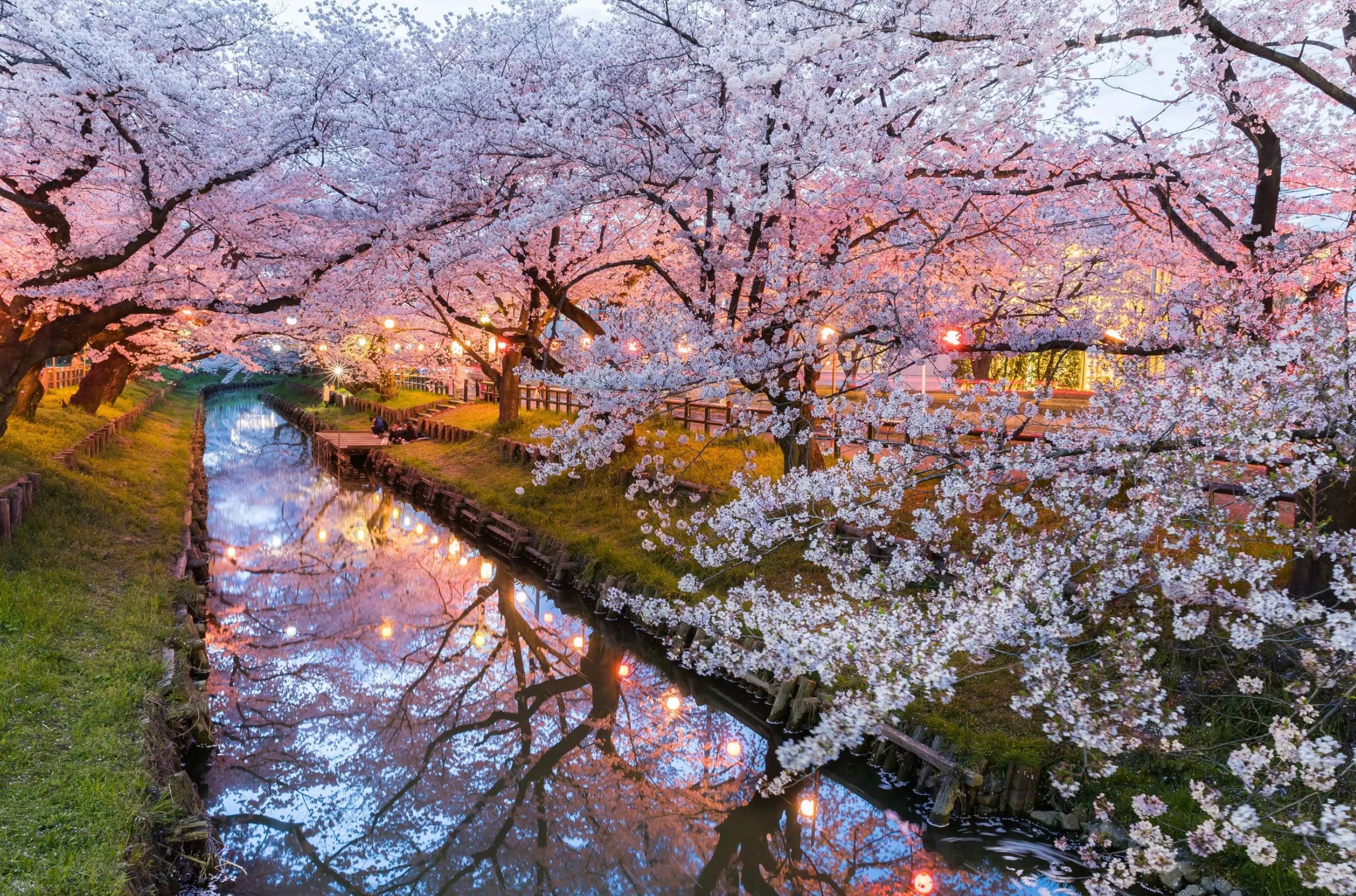 JAPANESE CHERRY BLOSSOM Relaxa Candle Canada
