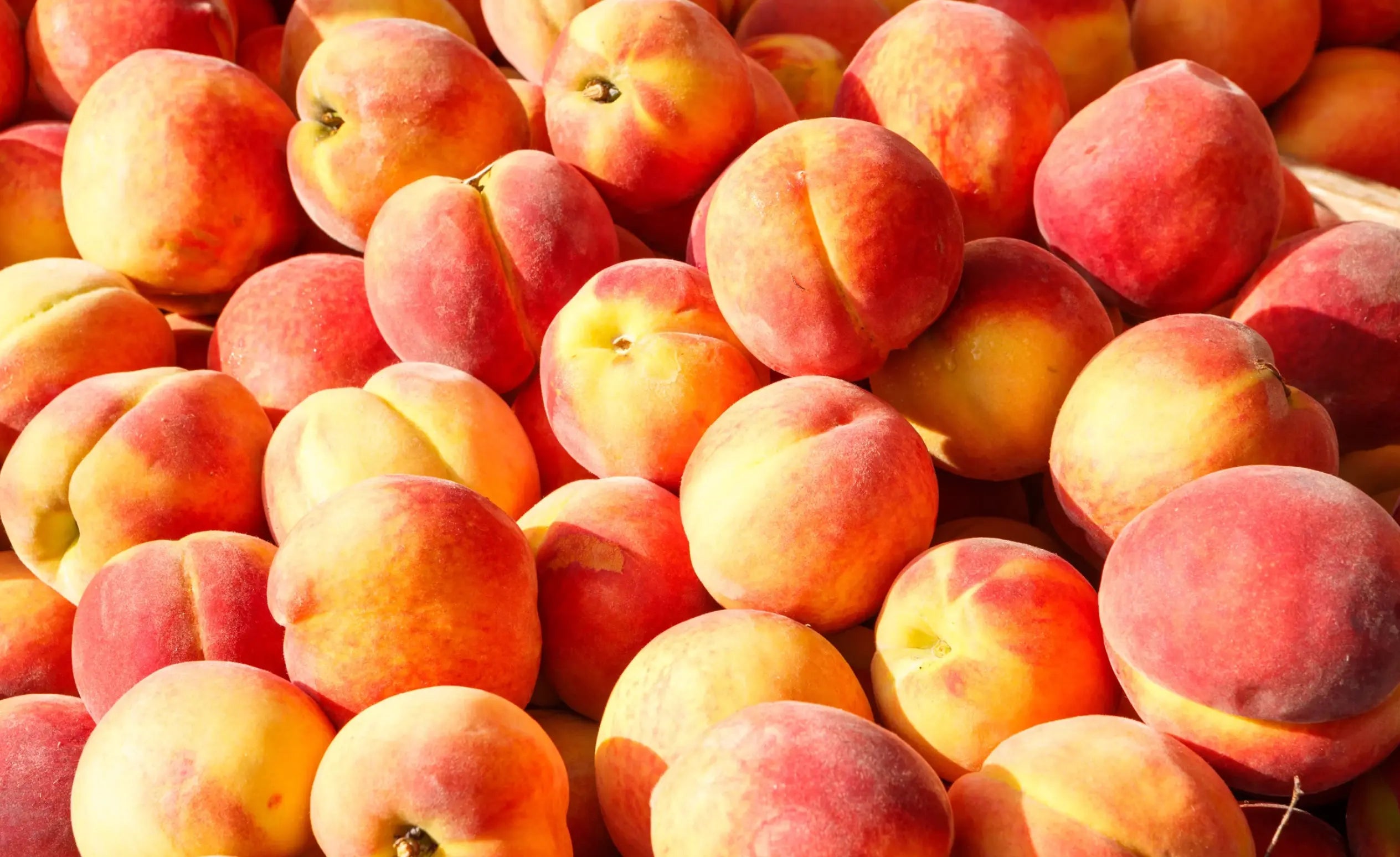 REAL PEACH Relaxa Candle Canada