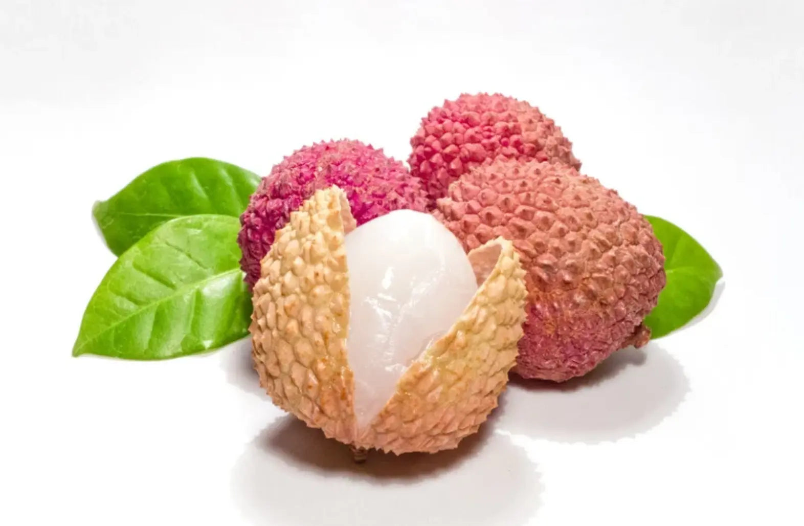 SUGARED LYCHEE Relaxa Candle Canada