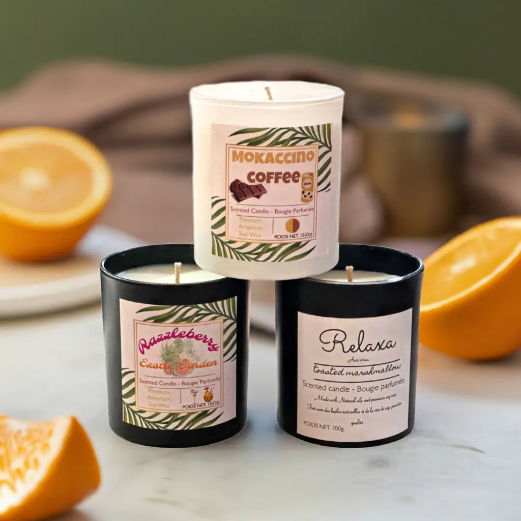 Scented Candle Set / Bundle Pack (3 SCENTED CANDLE 15oz) My Store